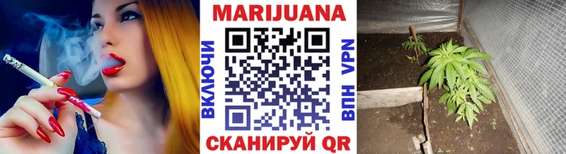 даркнет сайт  Тара  Шишки марихуана конопля 
